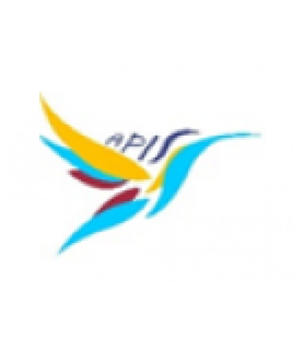 APIS JUDO
